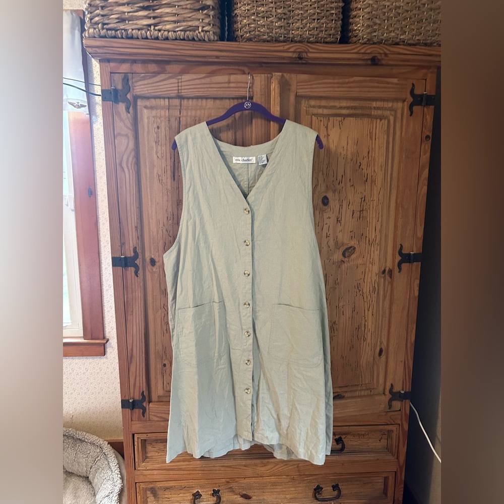 Eric Charles Sleeveless Button-Down Dress in Light Green 2x